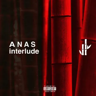 A N A S interlude by Bamboo Sampoo