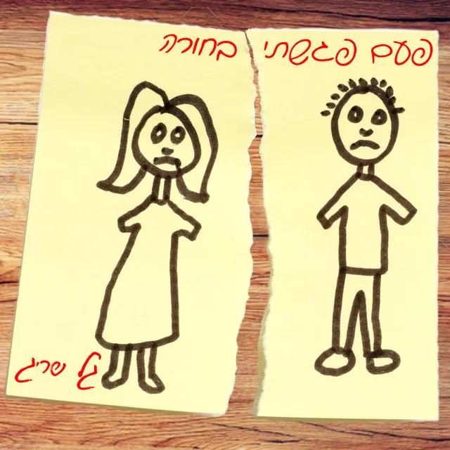 פעם פגשתי בחורה