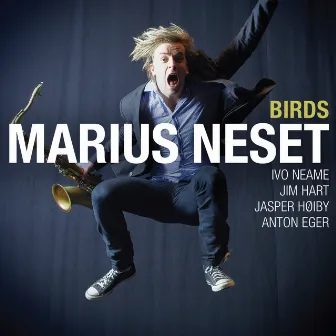 Birds by Marius Neset