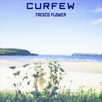 Tresco Flower by Curfew