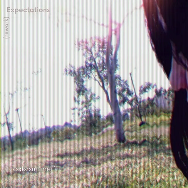 Expectations - 2019