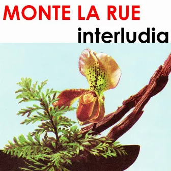 Interludia by Monte La Rue