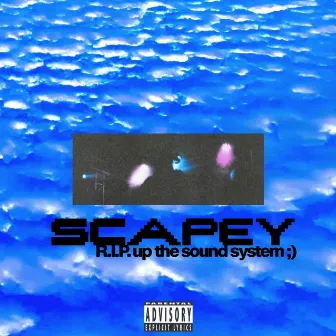 R.I.P. up the sound system by scapey