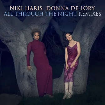 All Through the Night Remixes by Niki Haris