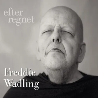 Efter regnet by Freddie Wadling