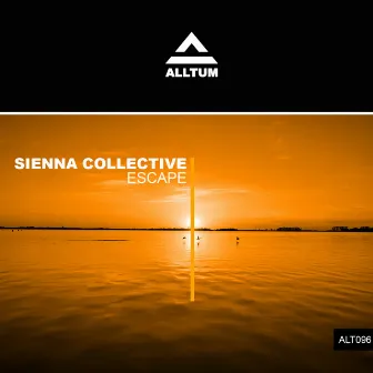 Escape by Sienna Collective