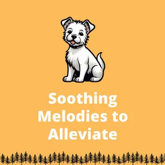 Soothing Melodies to Alleviate Your Dog's Stress and Anxiety by Dog Therapy