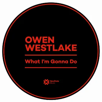 What I'm Gonna Do by Owen Westlake