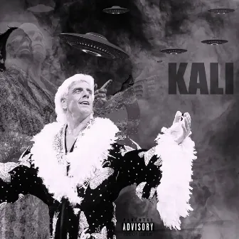 FLAIR by Kali