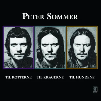 Til Rotterne, Til Kragerne, Til Hundene by Peter Sommer