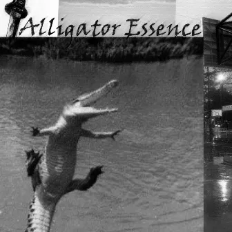 Alligator Essence by Lively