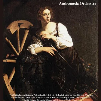 Vivaldi, Pachelbel, Albinoni, Walter Rinaldi, Schubert, J.S. Bach, Beethoven, Mendelssohn, Wagner: Cello Concerto, Canon in D, Adagio in G Minor, For Elise, Moonlight Sonata, Wedding March, Bridal Chorus, Air on the G String and Orchestral Works - Vol. 1 by Andromeda Orchestra