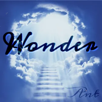 Wonder by Lil Bop