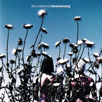 Boomerang by The Creatures