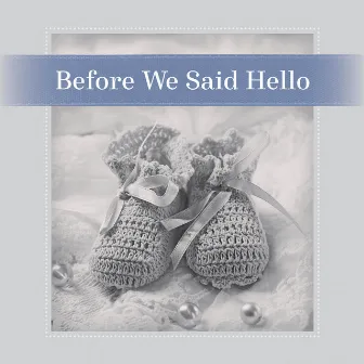 Before We Said Hello by Becky Nordquist