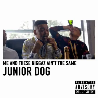 Me And These Niggaz Ain't The Same by Junior Dog