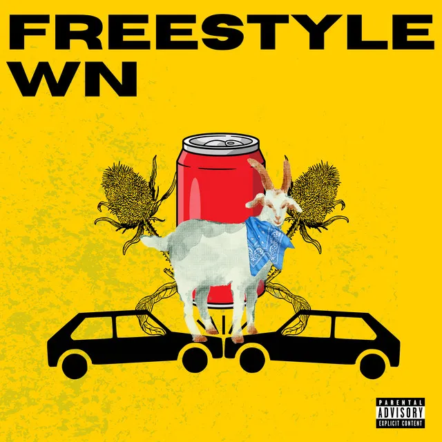 Freestyle Wn