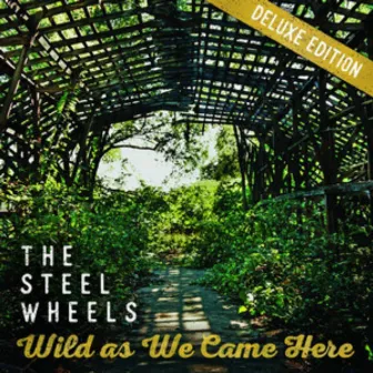 Wild as We Came Here (Deluxe Edition) by The Steel Wheels