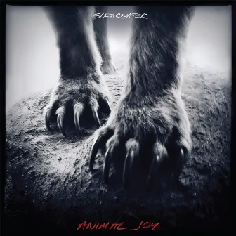 Animal Joy by Shearwater