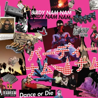 Dance or Die by Birdy Nam Nam