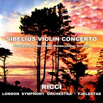 Sibelius: Violin Concerto by Oivin Fjeldstad