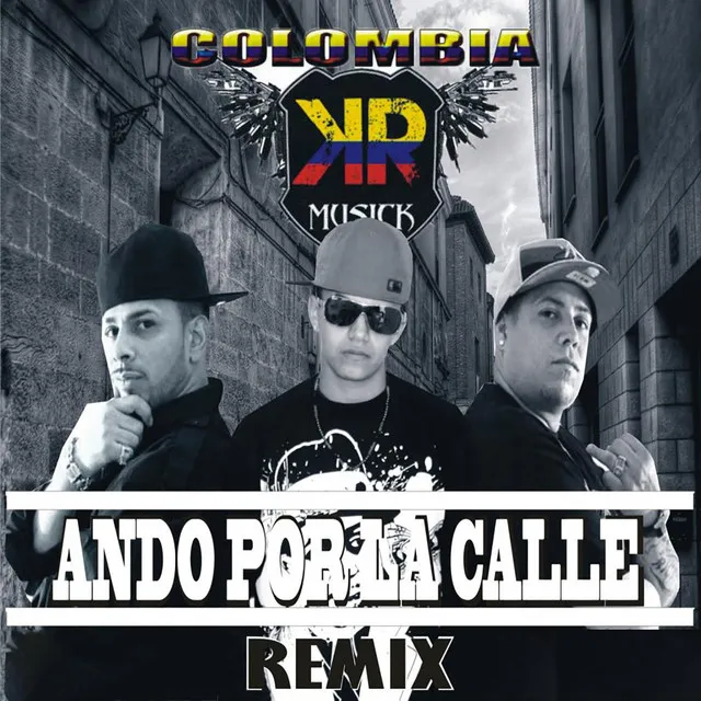 Ando por la Calle - Single (Remix)