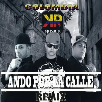 Ando por la Calle - Single (Remix) by Mr Prado