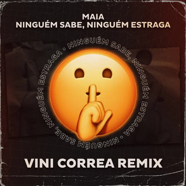 Ninguém Sabe, Ninguém Estraga - Vini Correa Remix