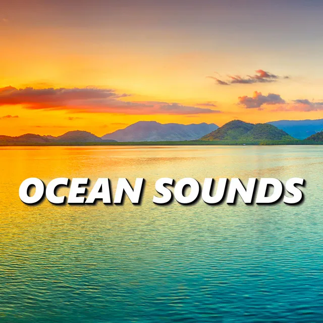 Ocean Sounds XLE Library