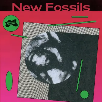 New Fossils by New Fossils