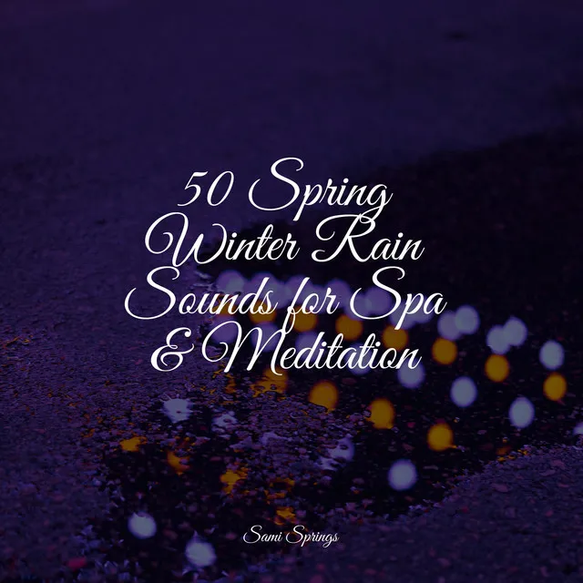 50 Spring Winter Rain Sounds for Spa & Meditation