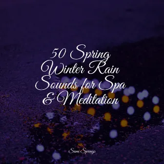 50 Spring Winter Rain Sounds for Spa & Meditation by Regen