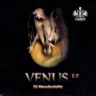 Venus by DJ MéndezisMZ