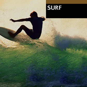 Surf by Surf Rockers