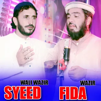 Wady De Che kawaly by Syeed Wali Wazir