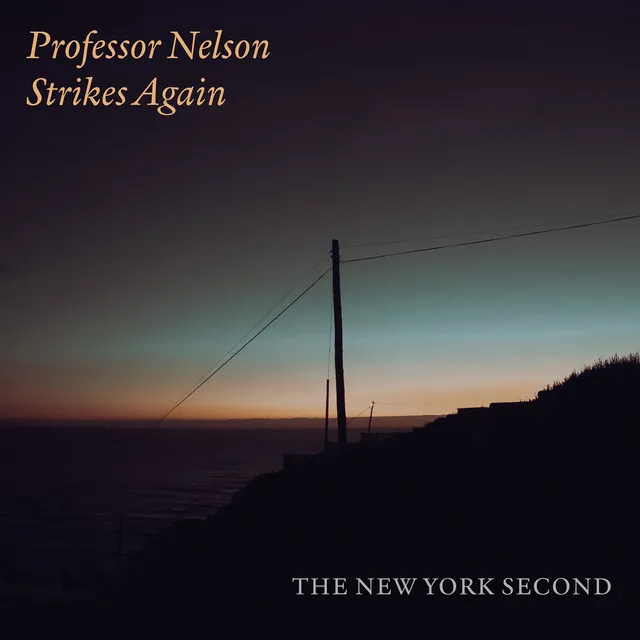 Professor Nelson Strikes Again - Single Version