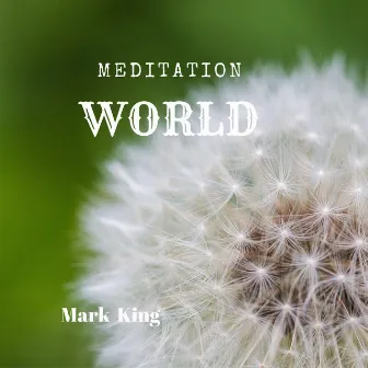 Meditation World by Mark King