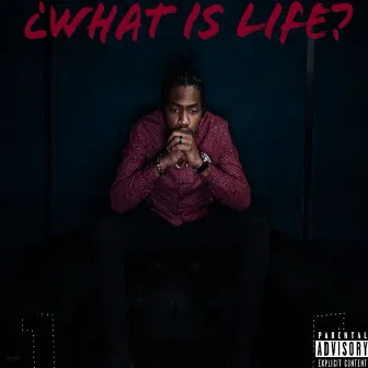 ¿What Is Life? by Prodigal Vybz