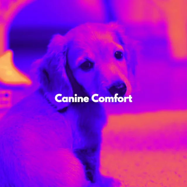 Canine Comfort