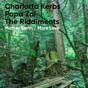 Mother Earth / More Love by The Riddiments