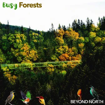 Busy Forests by Beyond North