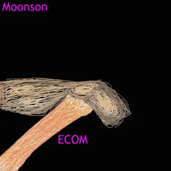 Ecom by Moonson