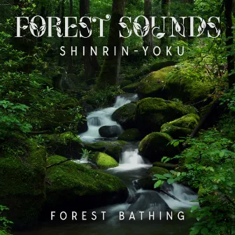 Forest Sounds: Shinrin-Yoku (Forest Bathing), Use Forest Bathing for Immune Boosting, A Serene Forest Bath Accompanied by Gentle Ambient Tones by Joshua Forest