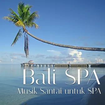 Bali Spa: Musik Santai untuk SPA untuk menemukan Kedamaian dan Ketenangan by Unknown Artist