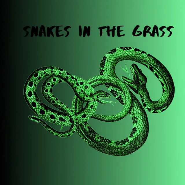 Snakes In The Grass