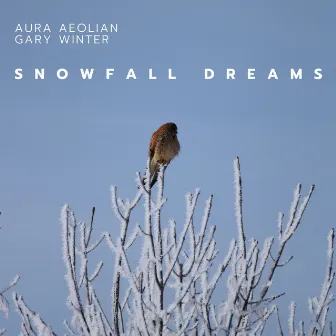 Snowfall Dreams: A Journey Into Winter’s Embrace by Aura Aeolian