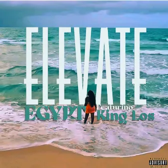 Elevate by IAMEGYPT