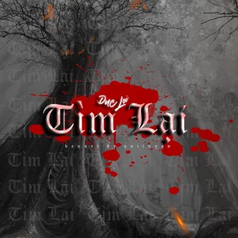 Tìm Lại by DucLoi