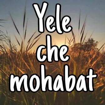 Yeli che mohabat by Shoaib Majeed