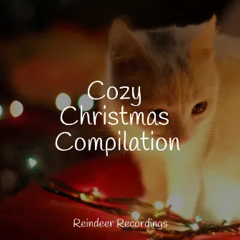 Cozy Christmas Compilation by Christmas Music Collective